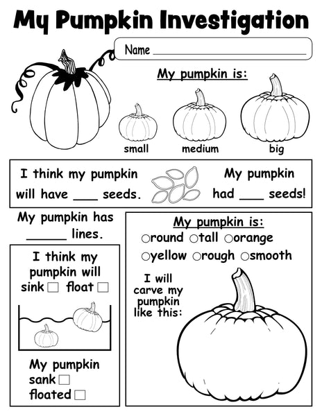 Pumpkin Investigation Worksheet - Printable!