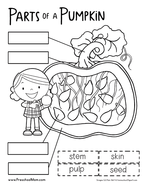 Pumpkin Activities for Kids - Pumpkin Lesson Plans (STEM ...