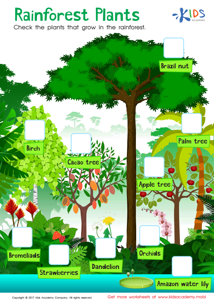 Rainforest Plants Worksheet: Free Printable PDF for Kids