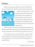 Reading Comprehension Worksheets