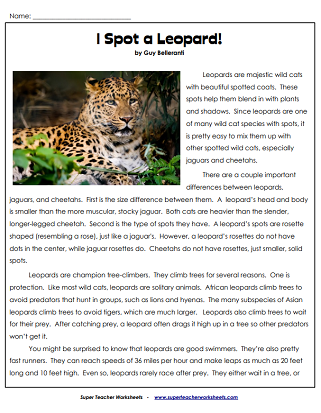 Reading Comprehension Passages with Questions - 6th Grade