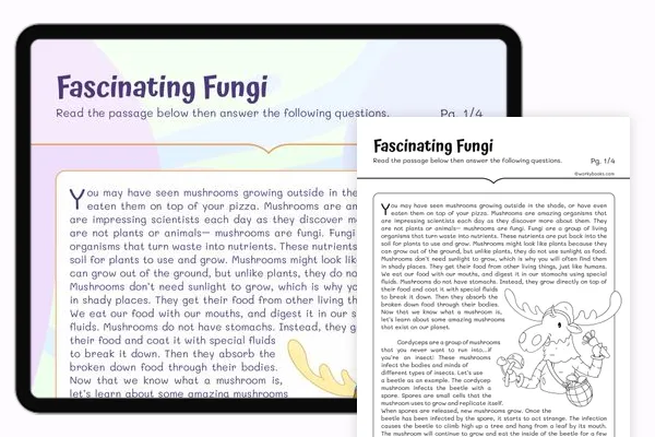 Reading Comprehension Worksheets 4th Grade | Free &  Printable ...