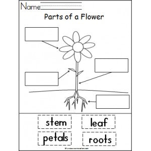 Digital 5E Science Lesson Plan Printable for Science Teachers by ...