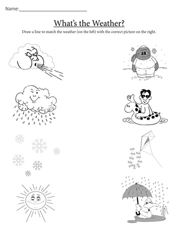FREE Preschool Science Worksheets and Printables