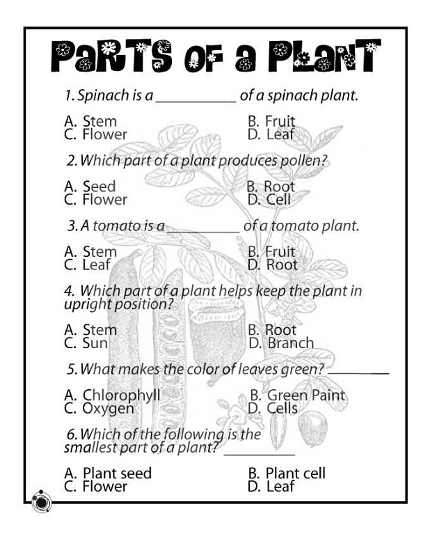 Free Science Worksheets | Activity Shelter
