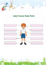 free science worksheet for 3rd grade