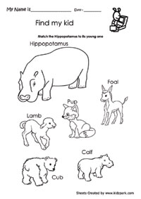 free science worksheet for pre kindergarten