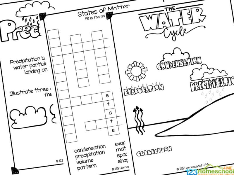 free states of matter worksheet