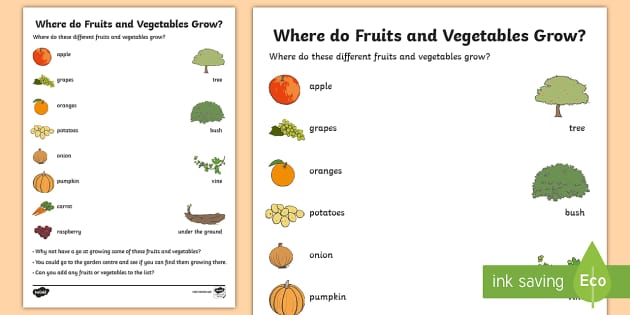 Preschool | Fruits and Vegetables Worksheets (teacher made)