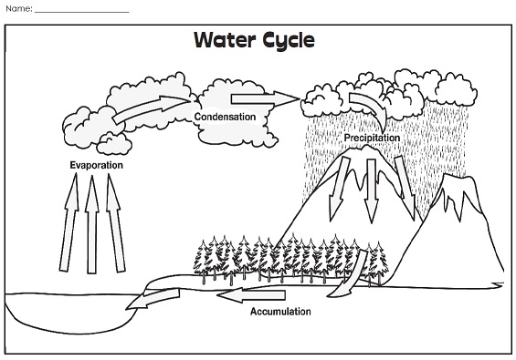 Free Water and Water Cycle Resources - Homeschool Den