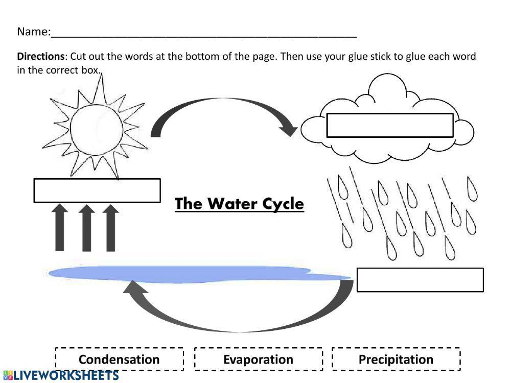free-printable-water-cycle-worksheets-for-all-grades-worksheets-library for Free Printable Water Cycle Worksheets Free Printable Water Cycle Worksheets for All Grades - Worksheets Library for Free Printable Water Cycle Worksheets