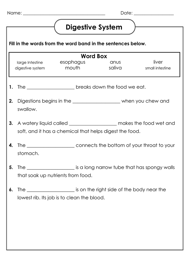 free worksheet for 4th grade science