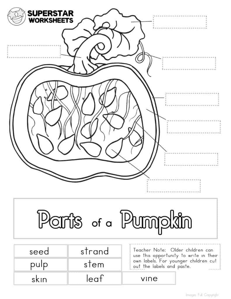 free worksheet for preschool pumpkin
