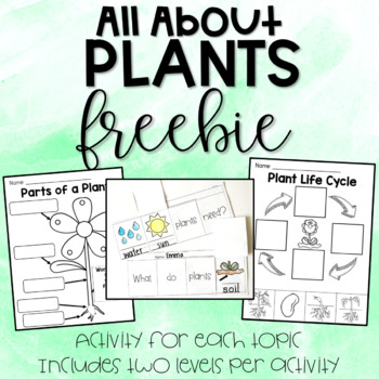 free worksheet for teachers by grade level