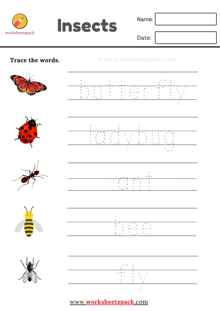 free worksheet on insects