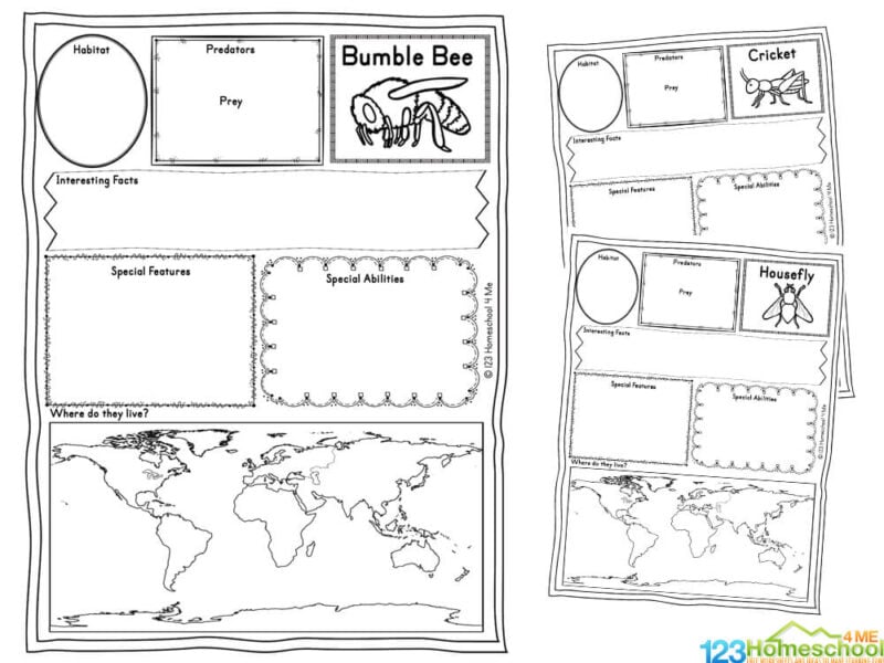 ???? FREE Printable Insect Worksheets for Kids