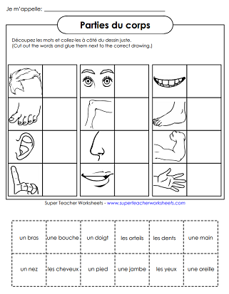 French Vocabulary Worksheets