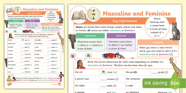 ? French Grammar - Masculine and Feminine Worksheet