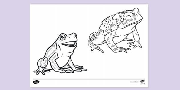 frog and toad worksheet