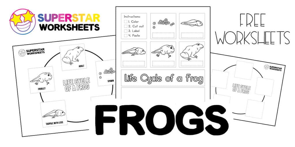 Life Cycle of a Frog Worksheets -Worksheets Library