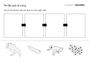 Frog Printables for Primary School - SparkleBox