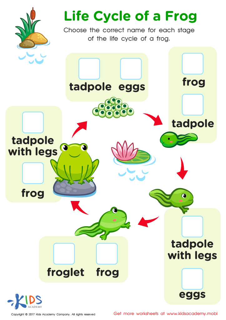 frog life cycle worksheet for kindergarten
