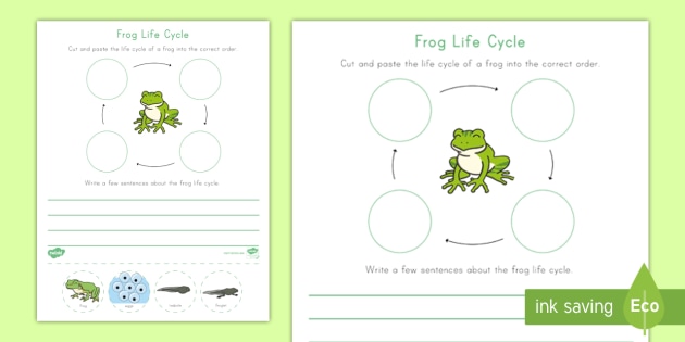 Frog Life Cycle Writing Worksheet / Worksheet (teacher made)