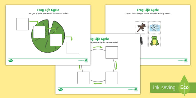 frog life cycle worksheet