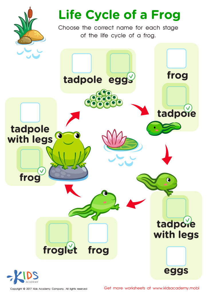 Free Frog Life Cycle Worksheet Download Free Frog Life Cycle Worksheet Free Frog Life Cycle Worksheet Download Free Frog Life Cycle Worksheet