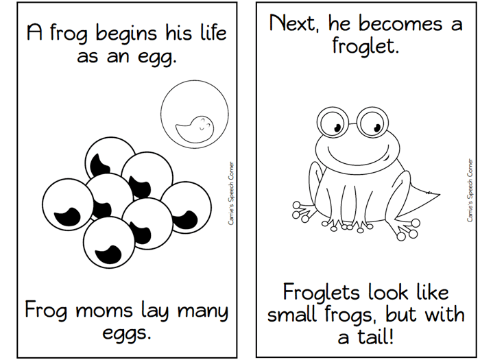 Frog Life Cycle - Free worksheet - SKOOLGO