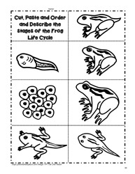 Life Cycle of a Frog Worksheets