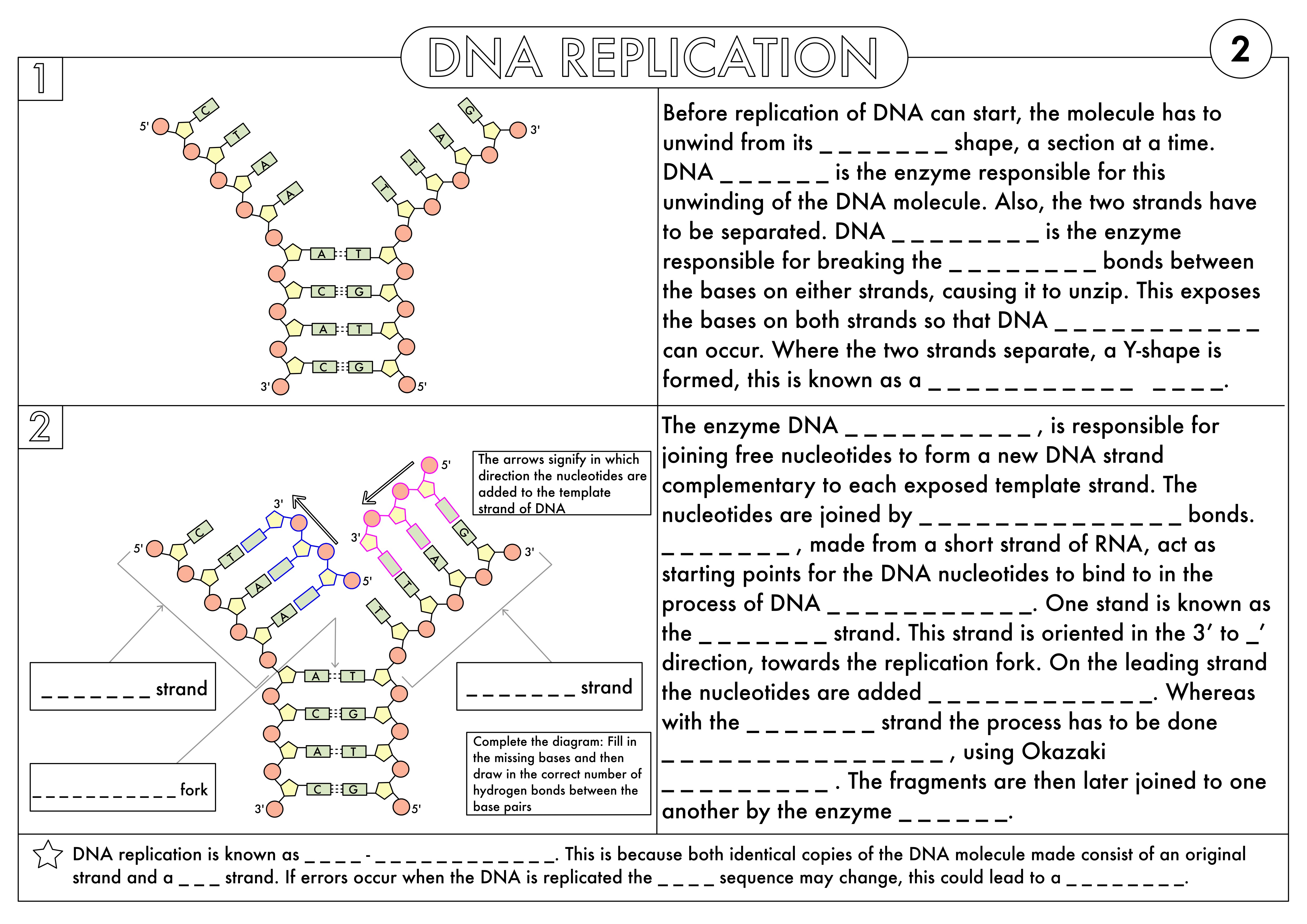 A Level Biology Worksheet Pack on DNA and Protein Synthesis ...