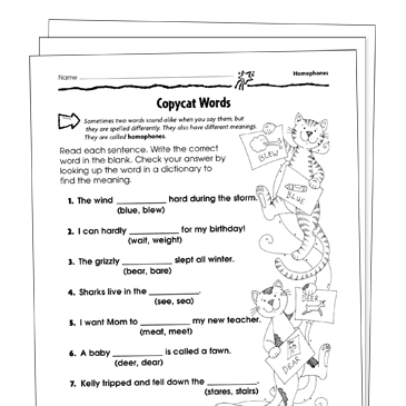 Homophone and Homonym Worksheets, Activities, and Printable Lesson ...