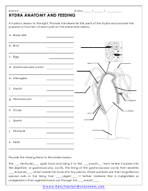 Science Worksheets