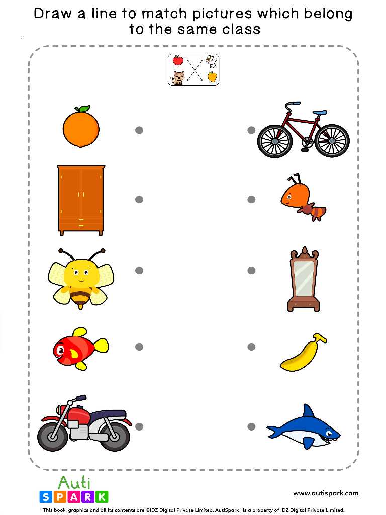 Match Pictures By Class #4 - Fun Matching Worksheet - AutiSpark
