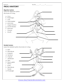 Science Worksheets