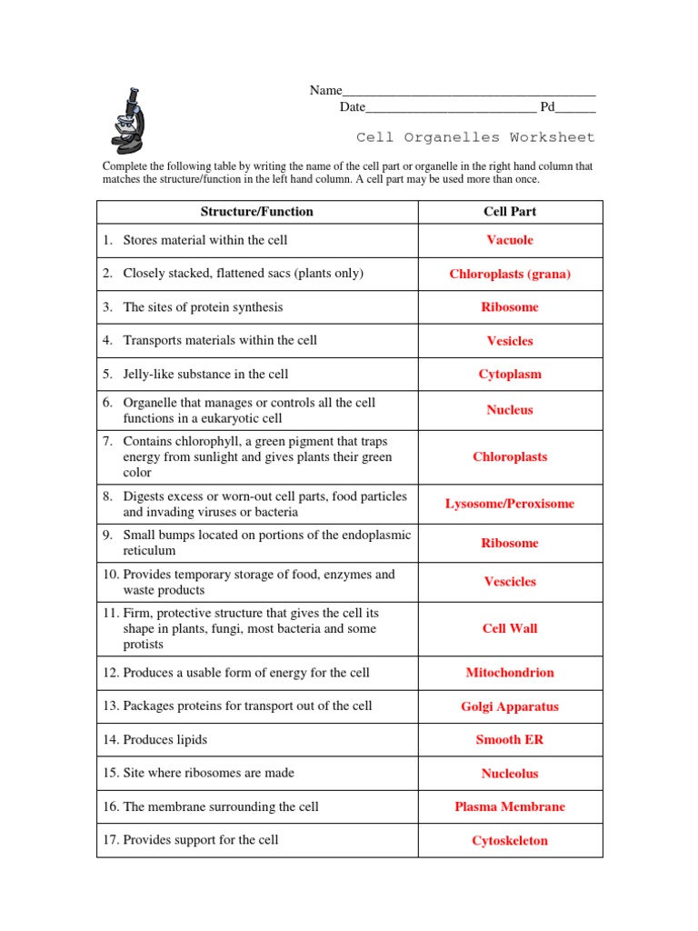 function of the organelles worksheet answers