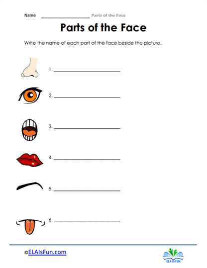 functional worksheet for preschoolers