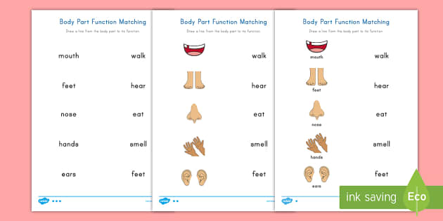 functional worksheet for preschoolers