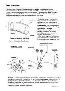 Fungi | Biology Teaching Resources &  Drawings by D G Mackean