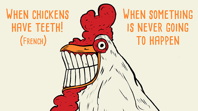 funny idioms