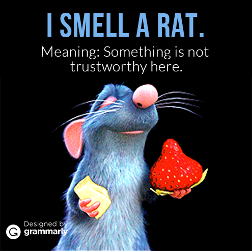 40 Weird Idioms in English: You Might Not Know • 7ESL