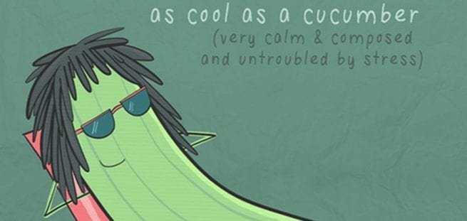 Funny idioms :D - ESL worksheet by emsejowa