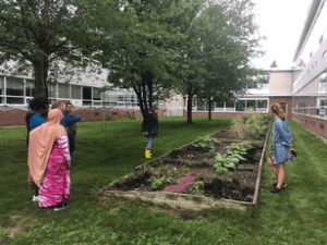 Learning Gardens - Teaching Important Lessons - St. Marys Health ...