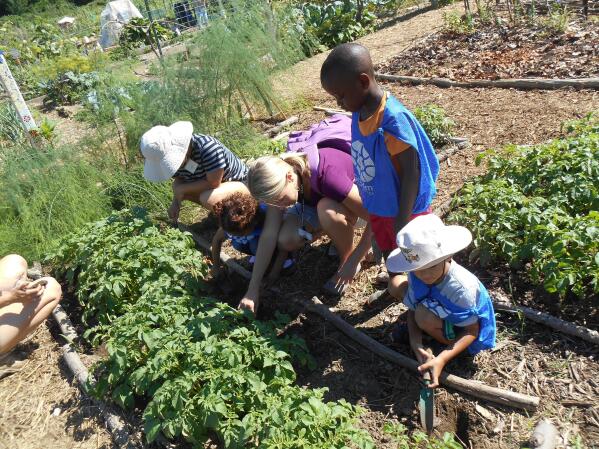 Schools find ways to keep gardening lessons blooming | AP News