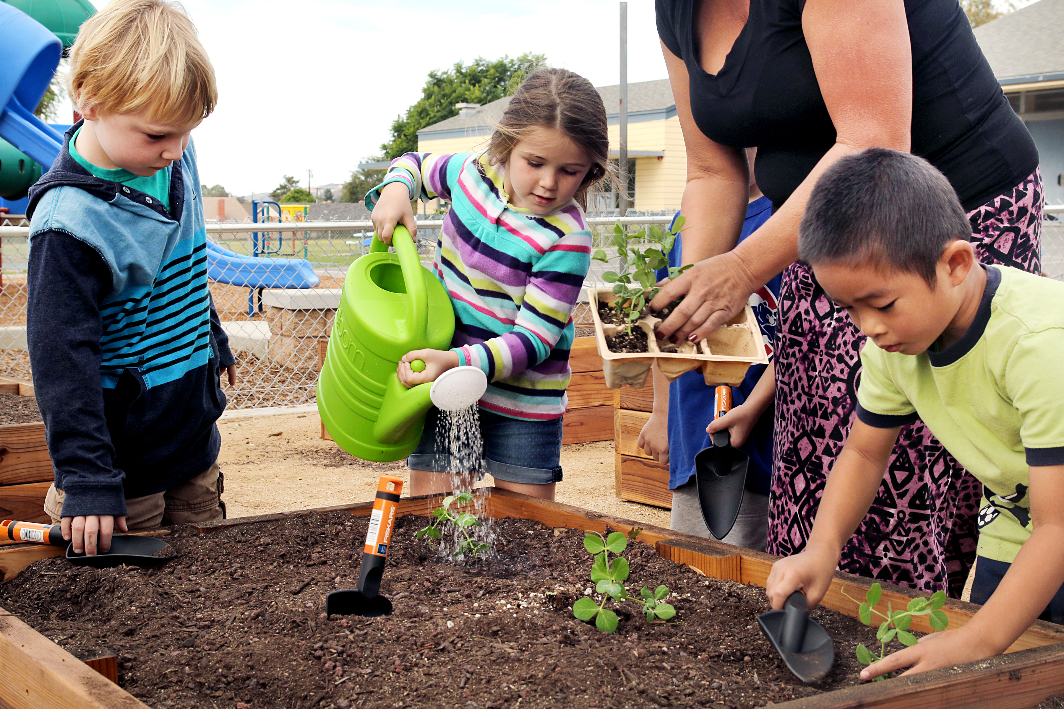 Mound Elementary School > Programs > Learning Garden