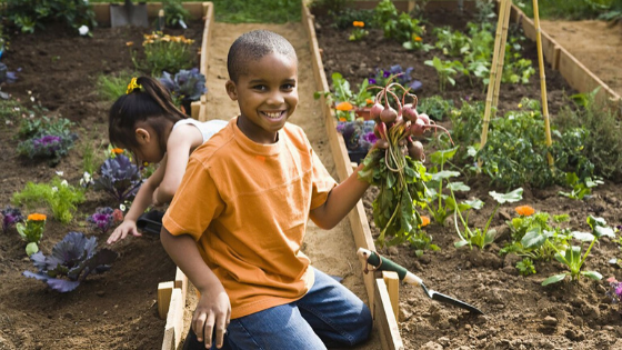 Gardening and Learning to Trust Black Children - Brown Mamas