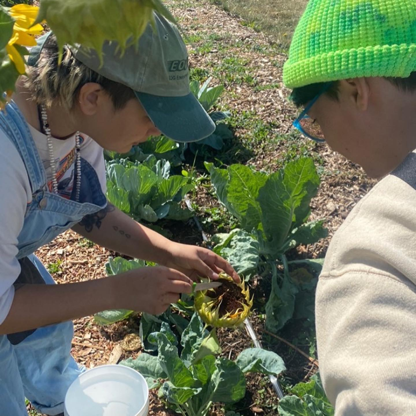 Learning Gardens Laboratory | Portland State University