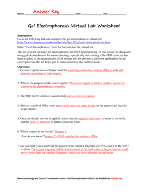 gel electrophoresis worksheet