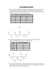 gene mapping worksheet.pdf - Gene Mapping Worksheet 1. In 1911 ...